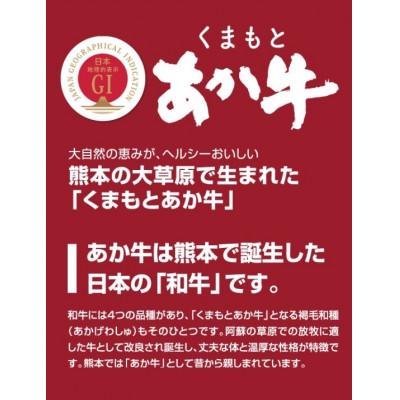 ふるさと納税 山鹿市 【毎月定期便】くまもとあか牛リブロースすき焼き・しゃぶしゃぶ用約500g全12回_1