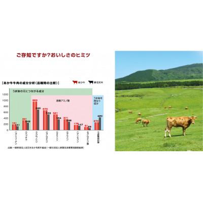 ふるさと納税 山鹿市 【毎月定期便】くまもとあか牛リブロースすき焼き・しゃぶしゃぶ用約500g全12回_3