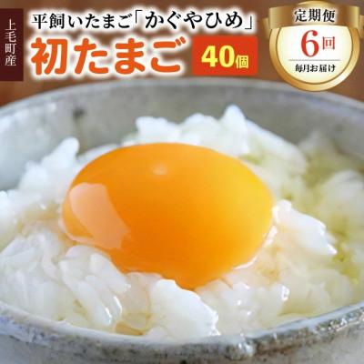 ふるさと納税 上毛町 [毎月定期便]かぐやひめ「初たまご」40個 全6回