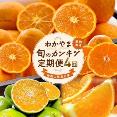 ふるさと納税 美浜町 [発送月固定定期便]和歌山 旬のカンキツ定期便[S]全4回