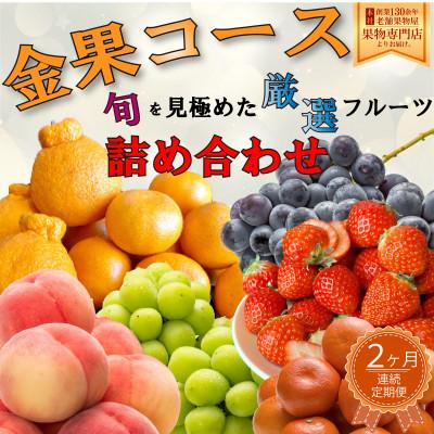 ふるさと納税 さぬき市 [毎月定期便]旬を見極めた厳選フルーツ詰合せ定期便「金果コース」全2回
