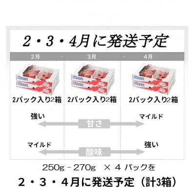 ふるさと納税 春日市 【発送月固定定期便】博多あまおう 250g-270g×4パック(春日市)全3回 |  | 01