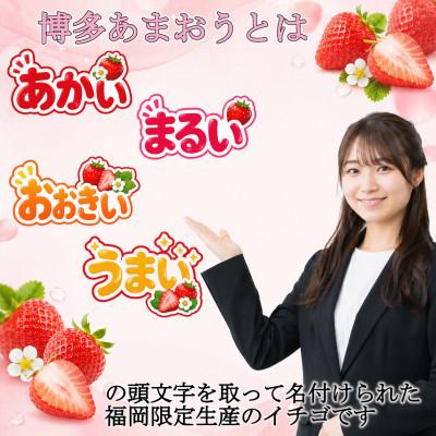 ふるさと納税 春日市 【発送月固定定期便】博多あまおう 250g-270g×4パック(春日市)全3回 |  | 02