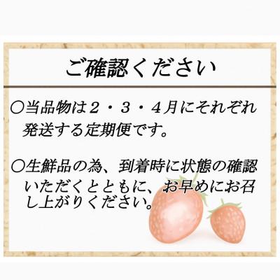 ふるさと納税 春日市 【発送月固定定期便】博多あまおう 250g-270g×4パック(春日市)全3回 |  | 03