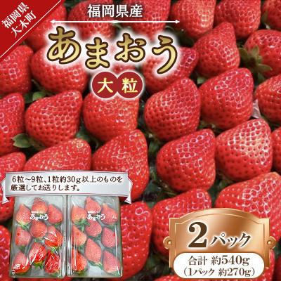 ふるさと納税 大木町 [発送月固定定期便]あまおう(大玉)2パック(270g/パック)(大木町) CT001全3回