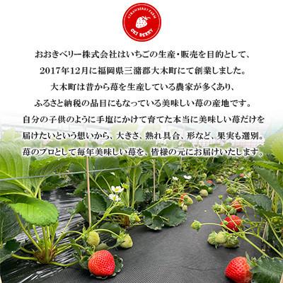 ふるさと納税 大木町 【発送月固定定期便】あまおう(大玉)4パック(270g