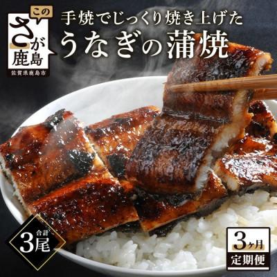 ふるさと納税 鹿島市 [毎月定期便]うなぎの蒲焼(1尾入り)180〜200g全3回