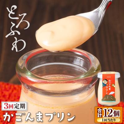 ふるさと納税 鹿屋市 [毎月定期便]とろふわ! かごんま プリン 12個セット(鹿屋市)全3回