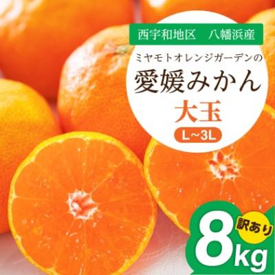 ふるさと納税 八幡浜市 【発送月固定定期便】【2025年11月より発送】みかん大玉8kg×小玉6kg【E25-246】全2回 |  | 01
