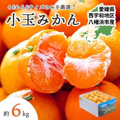 ふるさと納税 八幡浜市 【発送月固定定期便】【2025年11月より発送】みかん大玉8kg×小玉6kg【E25-246】全2回 |  | 02