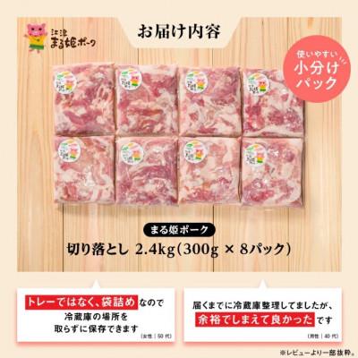 ふるさと納税 江津市 【毎月定期便】まる姫ポーク 切り落とし2.4kg