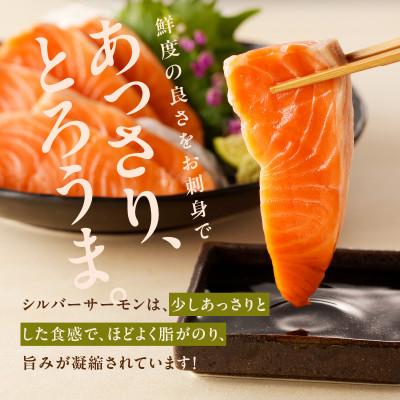 ふるさと納税 泉佐野市 【毎月定期便】サーモン ポーション 小分け 刺身用 訳あり 1kg×全3回 099Z346の画像