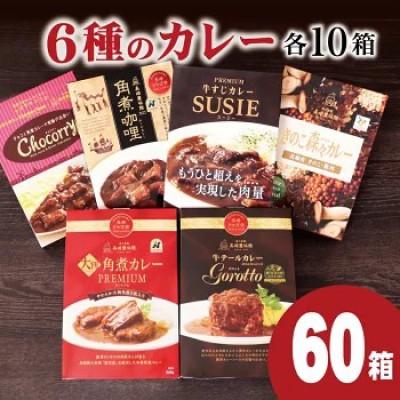 ふるさと納税 佐世保市 長崎豊味館 6種のカレー詰め合わせ 各10箱[複数個口で配送]