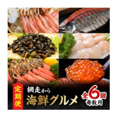 ふるさと納税 網走市 [発送月固定定期便][奇数月に発送]網走から海鮮グルメ ほたて、いくら、ズワイガニ等全6回