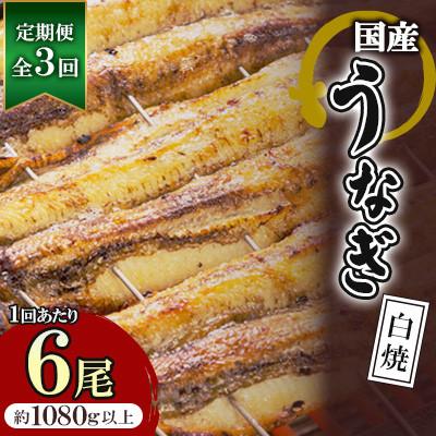 ふるさと納税 吉野ヶ里町 [毎月定期便]国産うなぎの白焼 6枚セット(約1080g)全3回