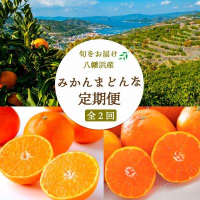 ふるさと納税 八幡浜市 [発送月固定定期便]愛媛みかん大玉8kg(訳)×まどんな2.5kg[F25-248]全2回