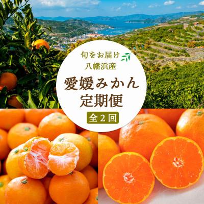 ふるさと納税 八幡浜市 [発送月固定定期便]愛媛みかん大玉8kg(訳)×愛媛みかん5kg(秀)[F25-249]全2回
