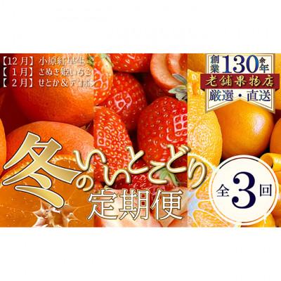 ふるさと納税 綾川町 [発送月固定定期便]冬のいいとこどり定期便(12・1・2月発送) [54010342]全3回