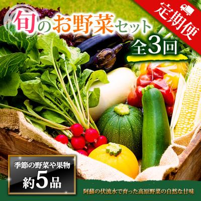 ふるさと納税 阿蘇市 [毎月定期便]季節のお野菜セットMサイズ 旬のお野菜を厳選してお届け全3回