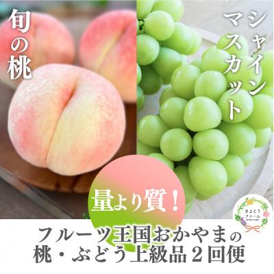 ふるさと納税 真庭市 [発送月固定定期便][2026年先行予約]桃とシャインマスカット どっちも食べたい便 全2回