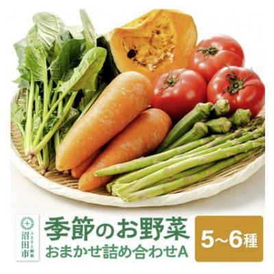 ふるさと納税 沼田市 [3ヵ月毎定期便]季節のお野菜おまかせセット A全3回