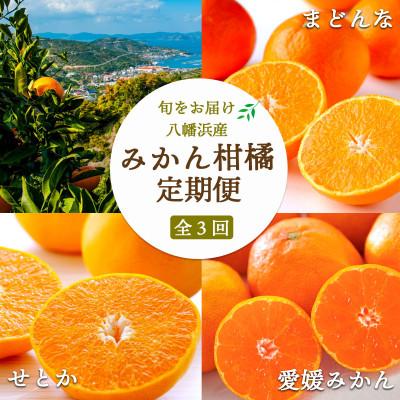 ふるさと納税 八幡浜市 [発送月固定定期便]愛媛みかん大玉8kg×まどんな2.5kg×せとか2kg[H25-281]全3回