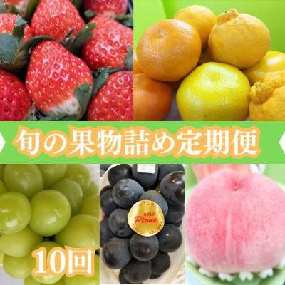 ふるさと納税 坂出市 [発送月固定定期便]旬の果物詰め合わせ全10回