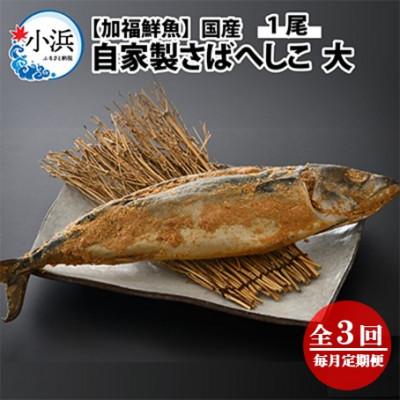 ふるさと納税 小浜市 [毎月定期便][加福鮮魚]自家製さばへしこ大1尾全3回