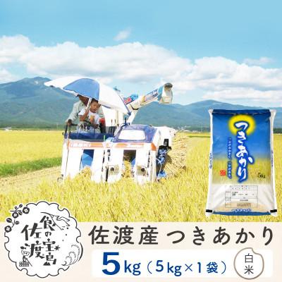 ふるさと納税 佐渡市 [毎月定期便]佐渡島産つきあかり 白米5Kg 〜栽培期間中の農薬5割減〜全6回