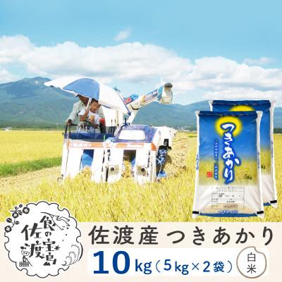 ふるさと納税 佐渡市 [毎月定期便]佐渡島産つきあかり 白米10Kg(5Kg×2袋)〜栽培期間中の農薬5割減〜全6回