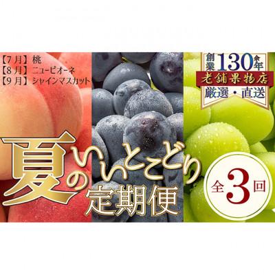 ふるさと納税 綾川町 [発送月固定定期便]夏のいいとこどり定期便(7・8・9月発送) [54010343]全3回