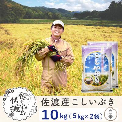 ふるさと納税 佐渡市 [毎月定期便]佐渡島産こしいぶき 白米10Kg(5Kg×2袋) 〜栽培期間中の農薬5割減〜全6回