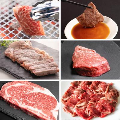 ふるさと納税 大樹町 [毎月定期便]十勝姫 北海道 黒毛和牛 焼肉・ステーキ・しゃぶしゃぶ用 グラスフェットビーフ全6回