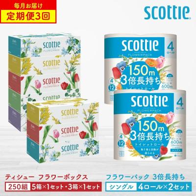 ふるさと納税 八代市 [毎月定期便]スコッティティシュー5箱P×1+3箱P×1+トイレット4ロール(シングル)P×2全3回