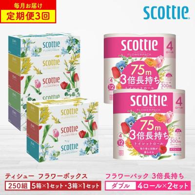 ふるさと納税 八代市 [毎月定期便]スコッティ ティシュー5箱P×1+3箱P×1+トイレット4ロール(ダブル)P×2全3回