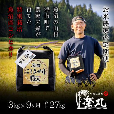 ふるさと納税 津南町 [毎月定期便]豪雪地津南の農家夫婦が育てた!直送特別栽培魚沼コシヒカリ3kg×9回(27kg)全9回