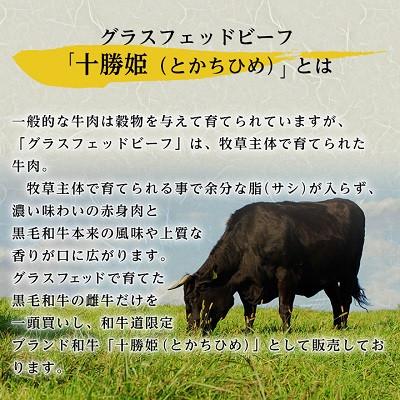 ふるさと納税 大樹町 【毎月定期便】和牛道ハンバーグ120g×6食セット 大樹町 国産黒毛和牛 グラスフェッドビーフ全3回_2