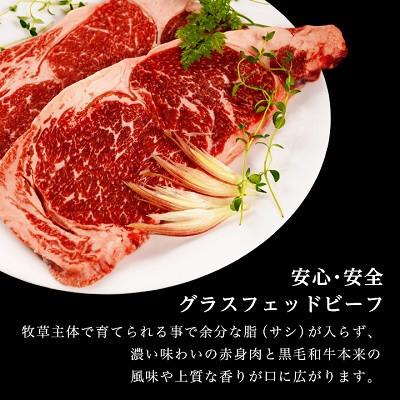 ふるさと納税 大樹町 【毎月定期便】和牛道ハンバーグ120g×6食セット 大樹町 国産黒毛和牛 グラスフェッドビーフ全3回_3