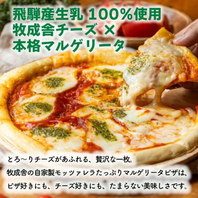 ふるさと納税 高山市 【毎月定期便】牧成舎ピザ・ヨーグルト・チーズ・牛乳 DF233全6回 |  | 01