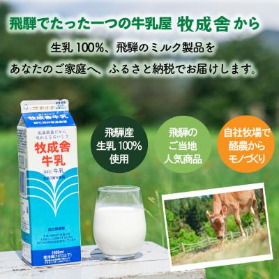 ふるさと納税 高山市 【毎月定期便】牧成舎ピザ・ヨーグルト・チーズ・牛乳 DF233全6回 |  | 02