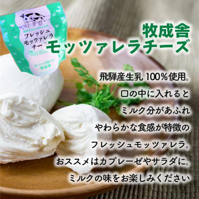 ふるさと納税 高山市 【毎月定期便】牧成舎ピザ・ヨーグルト・チーズ・牛乳 DF233全6回 |  | 03