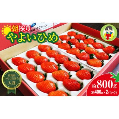 ふるさと納税 前橋市 [発送月固定定期便][1月〜4月]やよいひめ約400g×2パック全4回