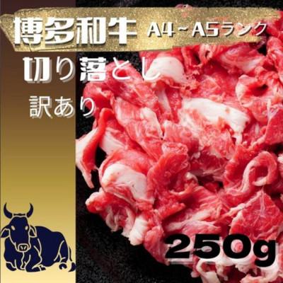 ふるさと納税 嘉麻市 [毎月定期便][訳あり][A4〜A5ランク]博多和牛 切り落とし 250g(嘉麻市)全2回