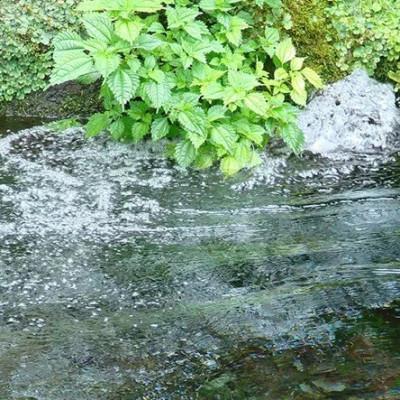 ふるさと納税 小林市 【毎月定期便】霧島のおいしい2L(1箱6本入)  天然水 ナチュラルウォーター シリカ 中硬水全6回の画像