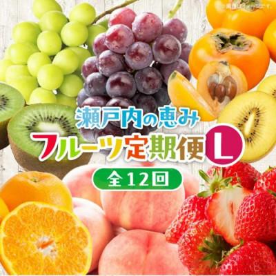 ふるさと納税 高松市 【発送月固定定期便】高松市自慢のフルーツ【L】全12回 | 