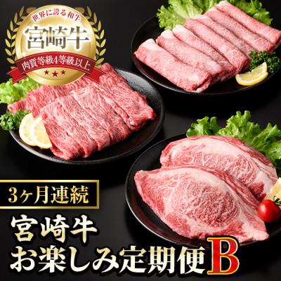 ふるさと納税 門川町 [毎月定期便]宮崎牛お楽しみ定期便B全3回