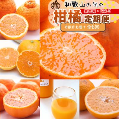 ふるさと納税 広川町 [発送月固定定期便]家庭用 柑橘定期便S(奇数月)全6回