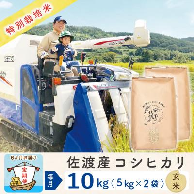 ふるさと納税 佐渡市 [毎月定期便]佐渡島産コシヒカリ 玄米10Kg(5Kg×2袋) 特別栽培米 農家直送 全6回