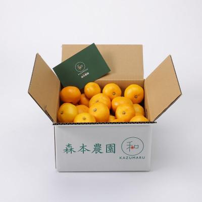 ふるさと納税 九度山町 [発送月固定定期便]家庭用柑橘定期便 1.5kg 10月〜5月まで期間限定全8回