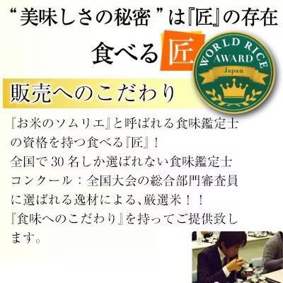 ふるさと納税 横芝光町 【毎月定期便】6ヶ月連続お届け!理想郷ミルキークイーン 精米(白米)5kg千葉大学共同研究米全6回_1